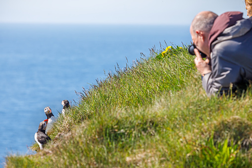 Latrabjarg, Westfjords, Northwestern Iceland, June 30, 2020: Group of tourists taking photograph of puffins