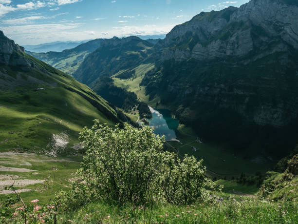 istock Mountain lake in the Swiss Alps 1266419216