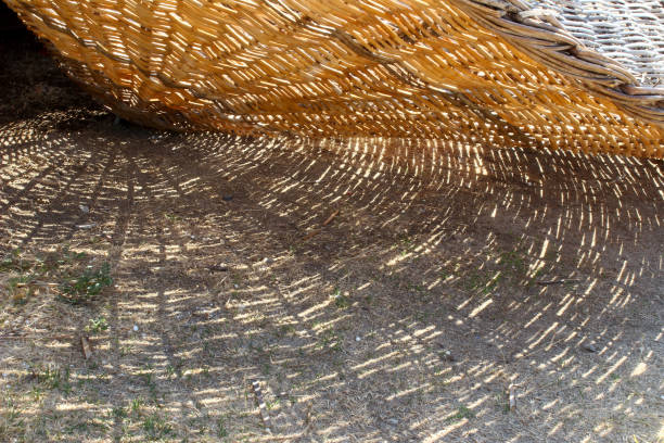 istock straw umbrella detail on the beach 1266425721