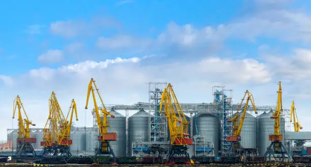 Granary in the Sea Port of Odessa, Ukraine. Portal cranes in the grain terminal with storage containers and silos cisterns in a pier. International transportation and export of agricultural products.