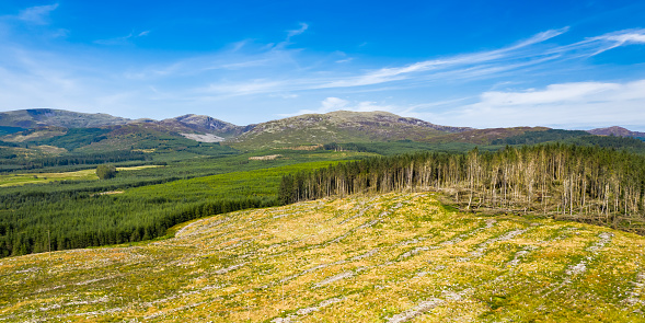 The view from a drone of a remote area of south west Scotland. Some of the forest has been cut down leaving uncultivated land waiting to be planted again with trees.