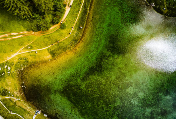 istock Peaceful aerial view at Green Lake in Austria 1266429377