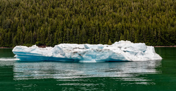 アラスカ州トレイシーアームの浮遊氷山。その背後にある緑の水と森。 - glacier alaska iceberg melting ストックフォトと画像