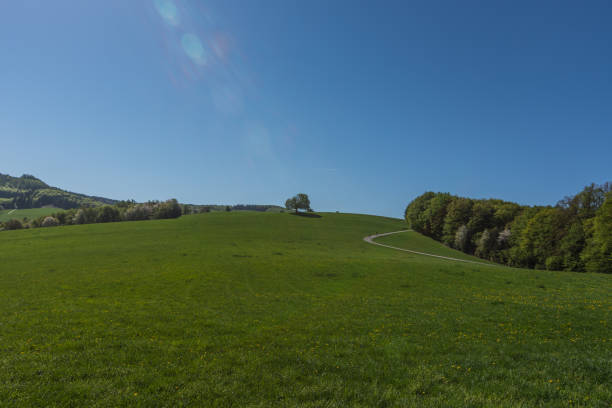 istock green meadow with mountain in fruehling 1266431593