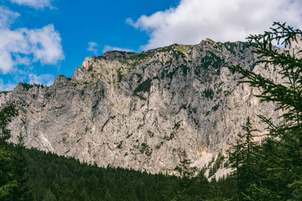 montagne vicino al lago chiamato green lake, gruner see. - gruner foto e immagini stock