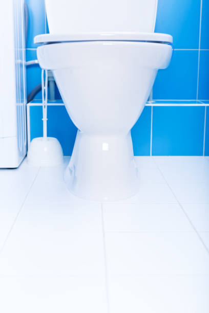 istock White toilet bowl in a bathroom 1266434617
