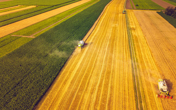 istock A modern combine harvester working on wheat field, aerial view 1266435835