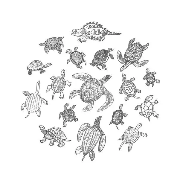 Vector illustration of Turtles Doodle Set