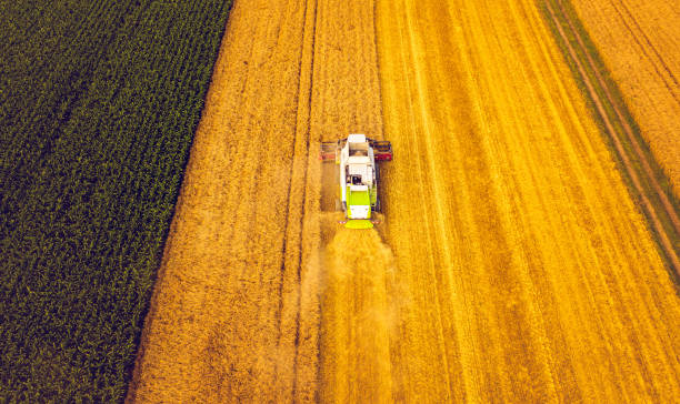 istock A modern combine harvester working on wheat field, aerial view 1266436091