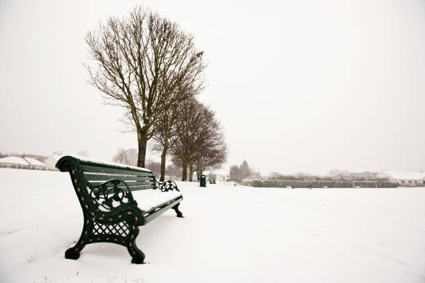 istock Park bench and park covered in snow 1266436330