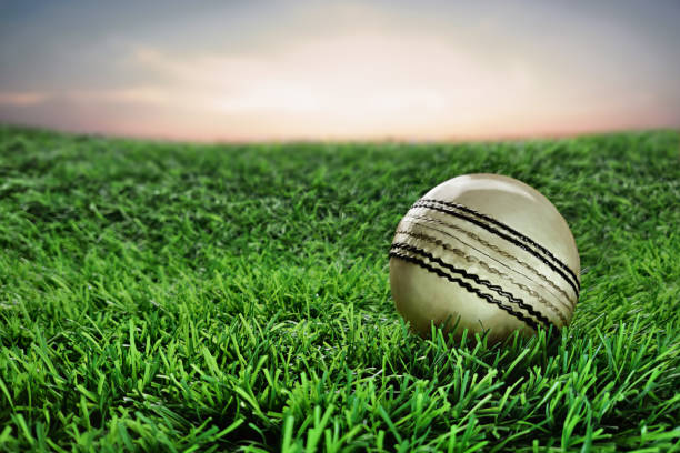 istock White Leather Cricket Sport Ball on grass with sky 1266437529