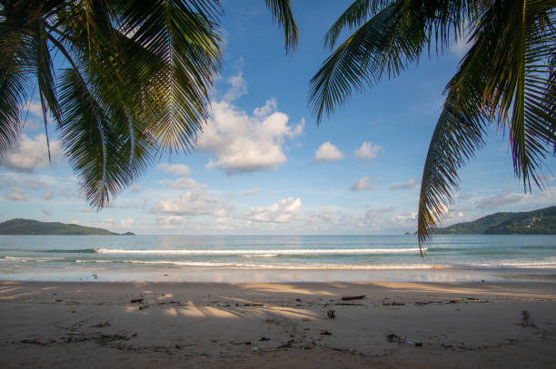 istock Beach sea and palm in summer day. 1266437591