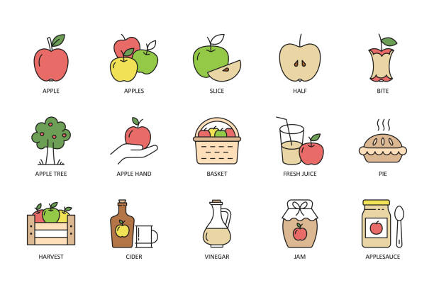 Vector apple icons. Multi color set with Editable stroke. Red yellow green apples cider basket bottle, pie slice vinegar fresh juice. Jam half apple tree harvest applesauce bite. Vector apple icons. Multi color set with Editable stroke. Red yellow green apples cider basket bottle, pie slice vinegar fresh juice. Jam half apple tree harvest applesauce bite yellow apple tree stock illustrations