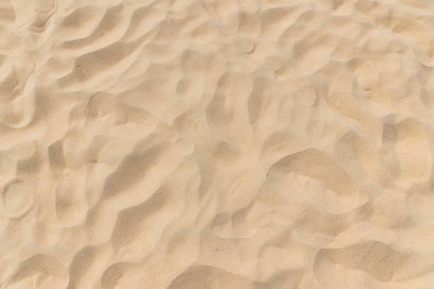 Beautiful Beach Sand Texture In Summer Sun. Wallpaper And Background Con Cept.