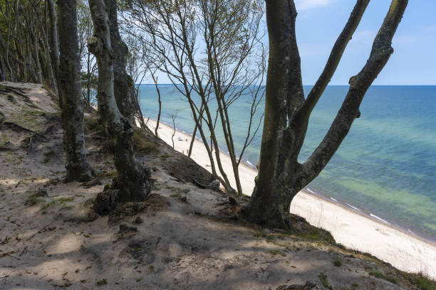 istock A beach with a cliff by the Polish sea 1266441930