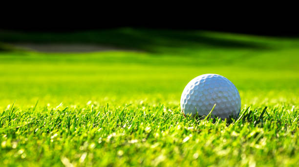 istock Golf ball close-up in selective focus at blur background on green grass. 1266442824