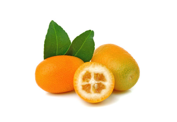 istock Kumquat fruits with leaf isolated on white 1266443132