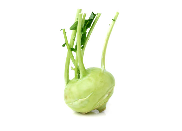 fresh kohlrabi isolated on white backround - kohlrabi turnip kohlrabies cabbage imagens e fotografias de stock