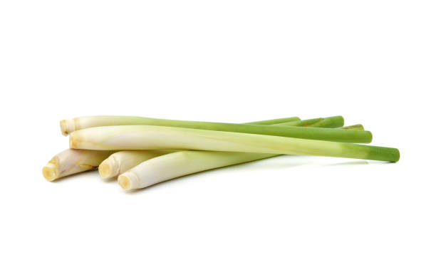 istock Fresh lemongrass on white background 1266443764