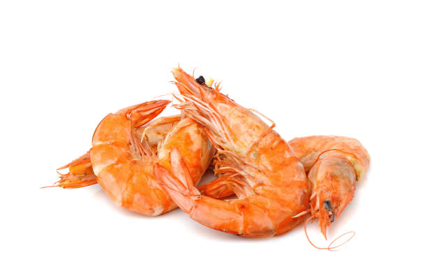 crevettes cuites ou crevettes isolées sur blanc - prepared shrimp photos et images de collection
