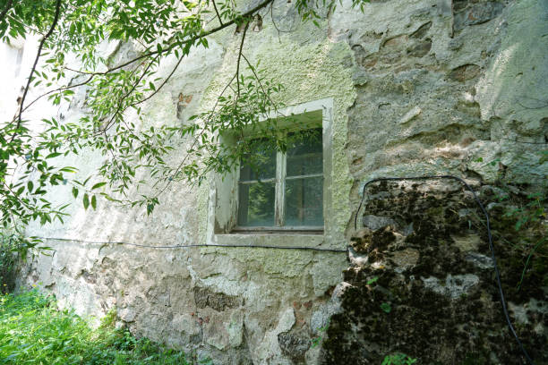 istock Abandoned place in summer photographed with natural light 1266443799
