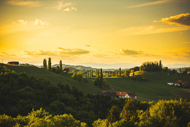 istock Sunset over South Styria vineyard landscape in Steiermark, Austria. 1266443800