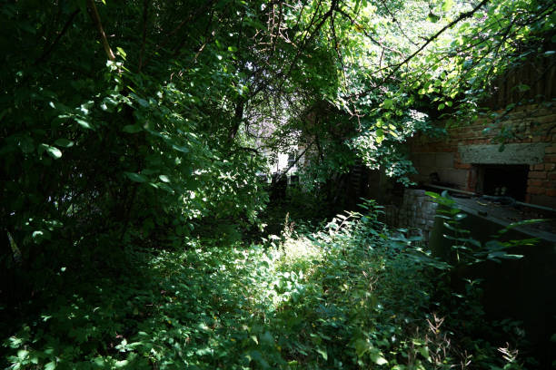 istock Abandoned place in summer photographed with natural light 1266444029