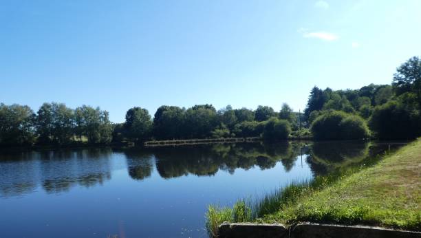 istock reflections of trees in the pond 1266444123