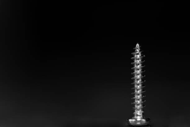 istock steel wood screw standing on its head 1266444126