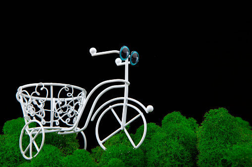 image of bicycle moss dark background