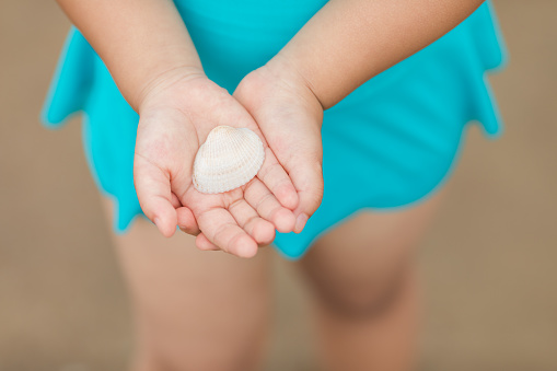 Child's hand is holding a shell by the sea