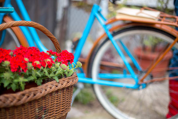 istock Woman gardening in the back yard 1266449876