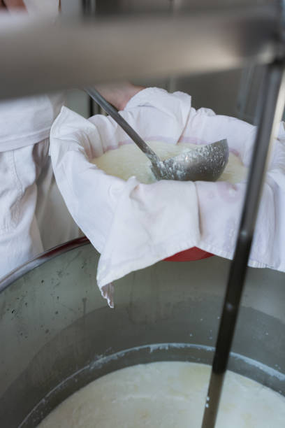 istock Human hand making soft cheese in a small cheese factory 1266452593