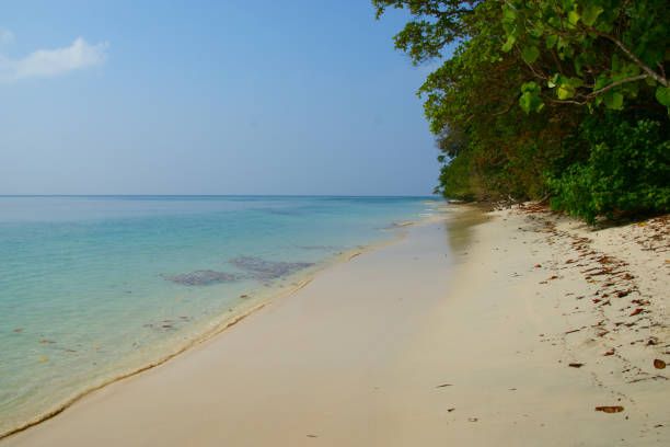 istock tropical beach. calm water and white sand on a tropical island 1266452620