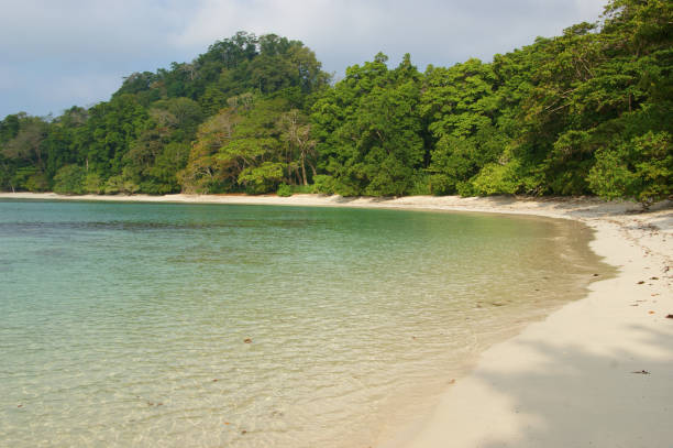 istock tropical beach. calm water and white sand on a tropical island 1266452642