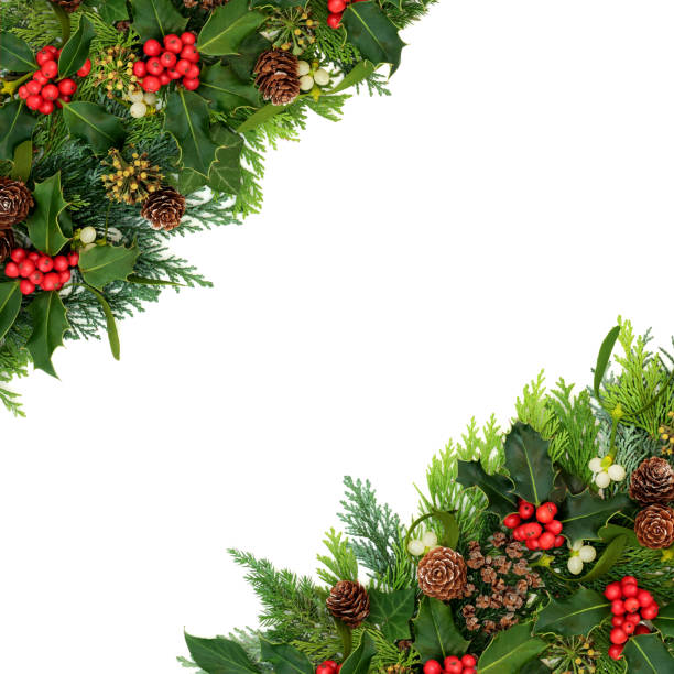 istock Natural Christmas Winter Holly and Greenery Border 1266452798