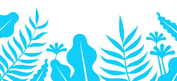 illustrazioni stock, clip art, cartoni animati e icone di tendenza di bordo delle piante tropicali blu - palm leaf frond leaf backgrounds