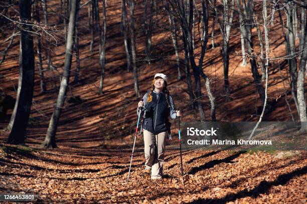 A Girl In Hiking Clothes With Trekking Poles Walks In The
