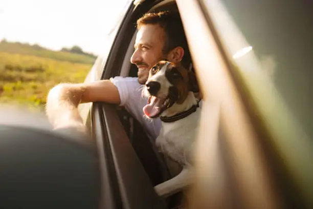 Photo of a smiling young man and his dog riding in a car on a bright summer day.