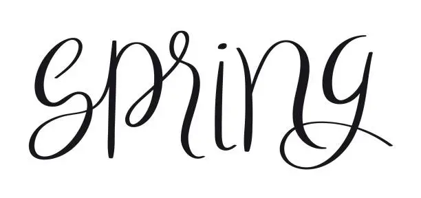 Vector illustration of SPRING black brush calligraphy banner