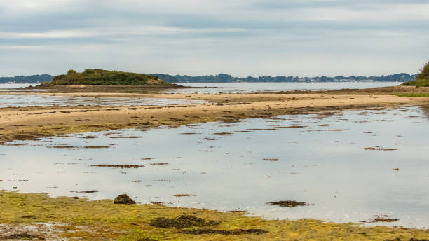 istock Brittany, panorama of the Morbihan gulf 1266456443