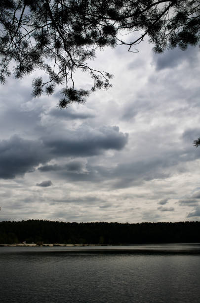 istock Forest lake on a cloudy summer day 1266457491
