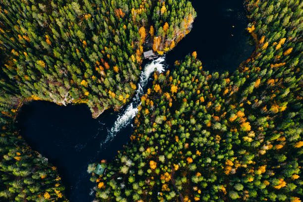 Aerial view of fast river in beautiful orange and red autumn forest, Finland. Aerial view of fast river in beautiful orange and red autumn forest. Oulanka National Park, Finland. finnish lapland autumn stock pictures, royalty-free photos & images