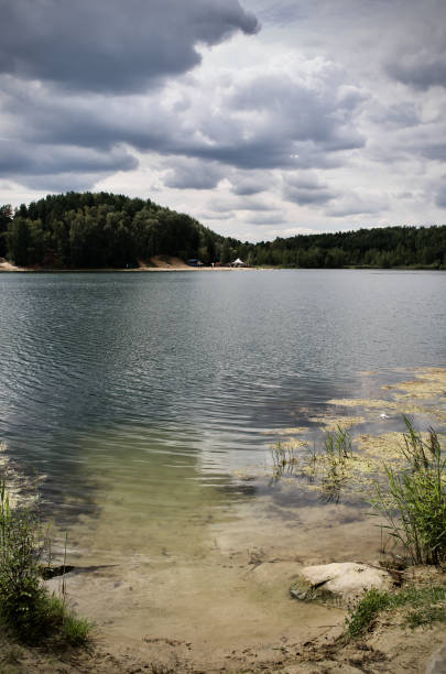 istock Forest lake on a cloudy summer day 1266457652
