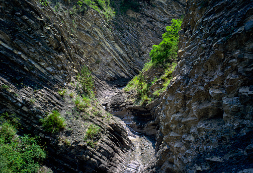 Gorge and wild canyon in the mountains of the Alpes-Maritimes