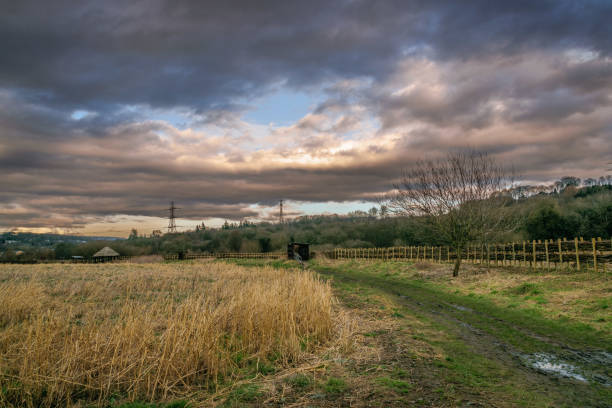 istock Sunset at Rodley Nature Reserve, UK 1266459808
