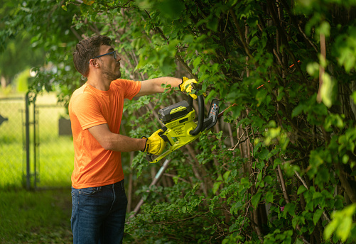 Hispanic young man cutting the bush in the backyard Miami
