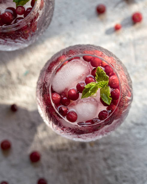 istock Cocktail with ice and wild cranberries 1266467813