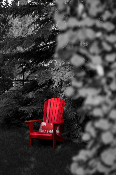 istock Black and white photo with red Adirondack chair. 1266473162
