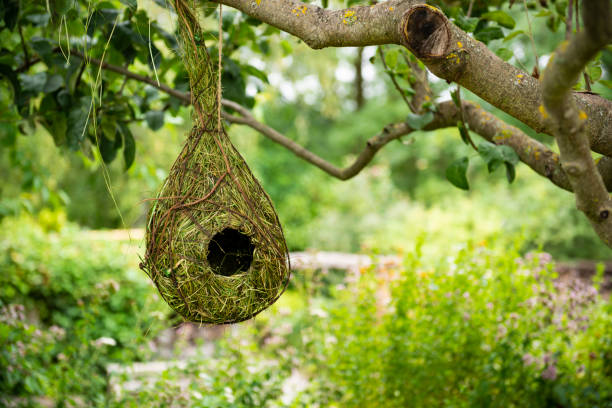 Closeup of an old wooden dovecote standing in the garden. Free-standing empty dovecot